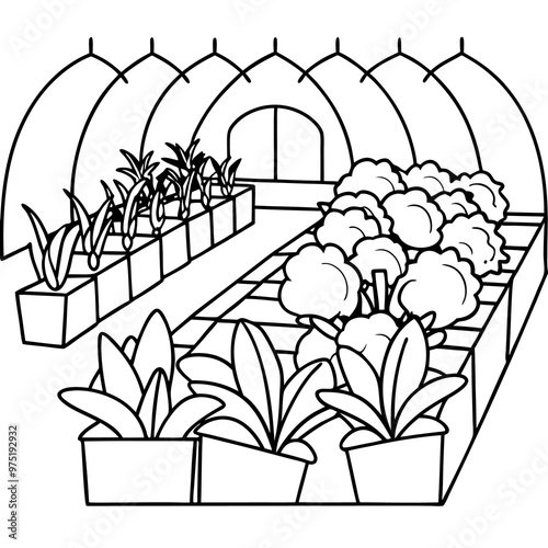 vegetable nursery outline coloring book page line art drawing