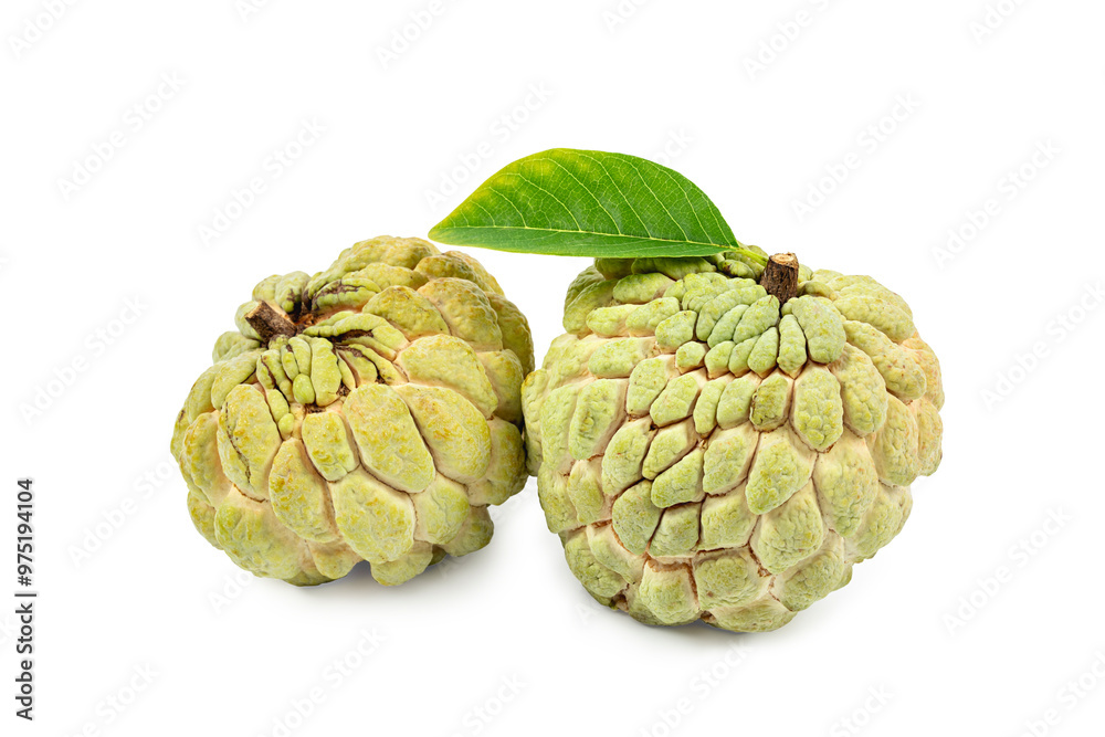Fototapeta premium Sugar apple fruits, fresh custard apple and green leaves with clipping path isolated on white background.