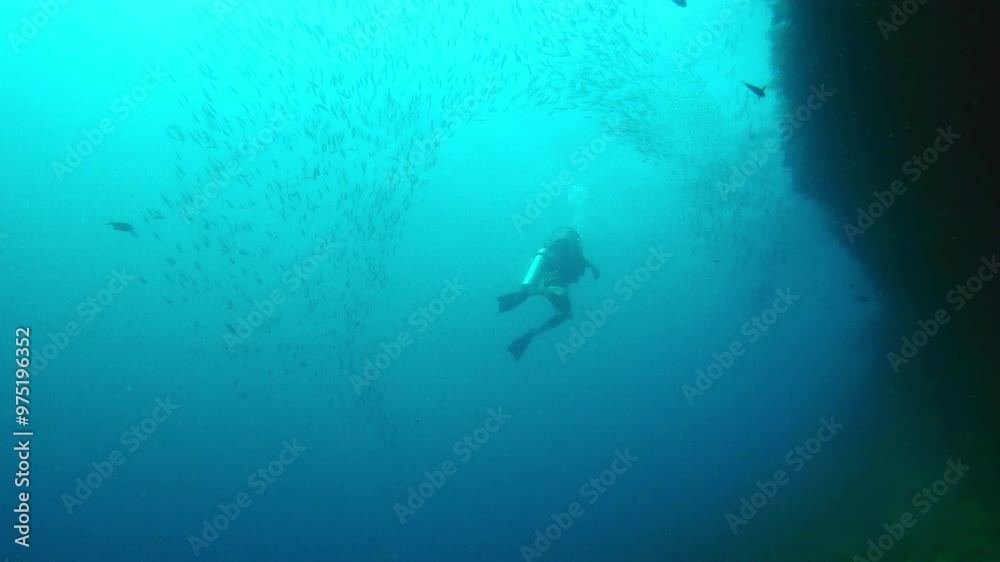 Ocean, water and diver in deep blue sea of Raja Ampat, Indonesia or underwater wildlife swimming with fishes. Person snorkeling or scuba diving with small school of fish in coral reef or undersea