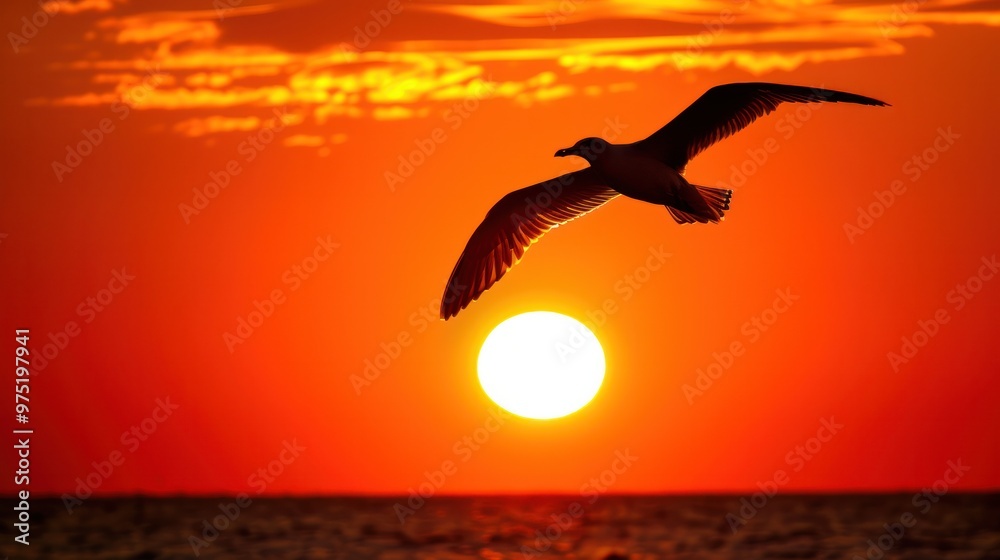 Naklejka premium A silhouette of a lone seabird soaring against a backdrop of a fiery sunset, the sun's rays illuminating its wings and creating a dramatic contrast.