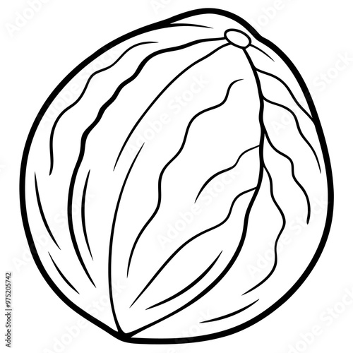 walnut outline coloring book page line art drawing