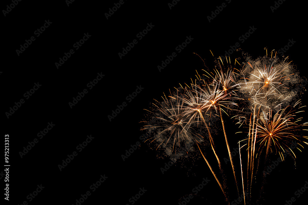 Beautiful fireworks in the night sky, creating a joyous atmosphere. Beautiful fireworks in the night sky, creating a joyous atmosphere.
