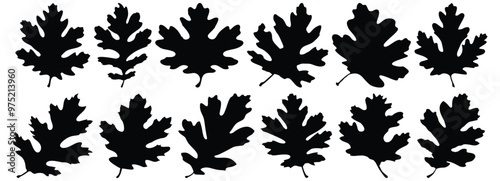 Leaf silhouette set vector design big pack of foliage illustration and icon