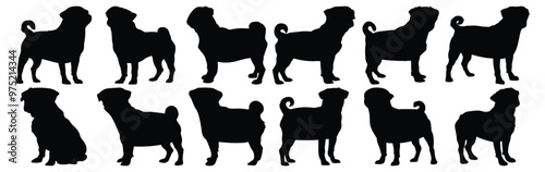 Pug silhouettes set, dog pack of vector silhouette design, isolated background