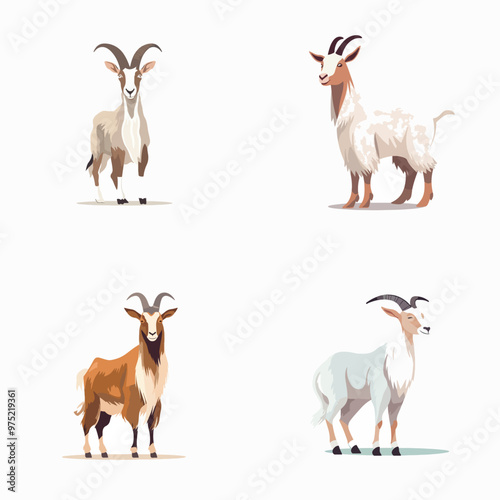 different types of goats are shown in a row. The first goat is brown, the second is white, the third is tan, and the fourth