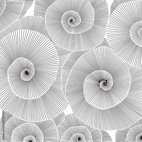 Caracol