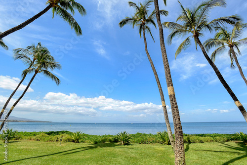 Wallpaper Mural vacation, Hawaii, plants, island, flower, sun, tropical, ocean, beach, palm trees, resorts Torontodigital.ca