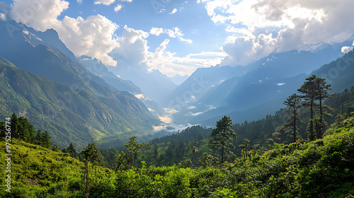 A scenic view of a Himalayan valley with native medicinal plants growing wild, surrounded by towering peaks and greenery 