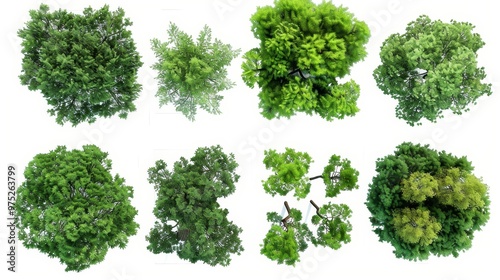 Aerial View of Lush Green T...