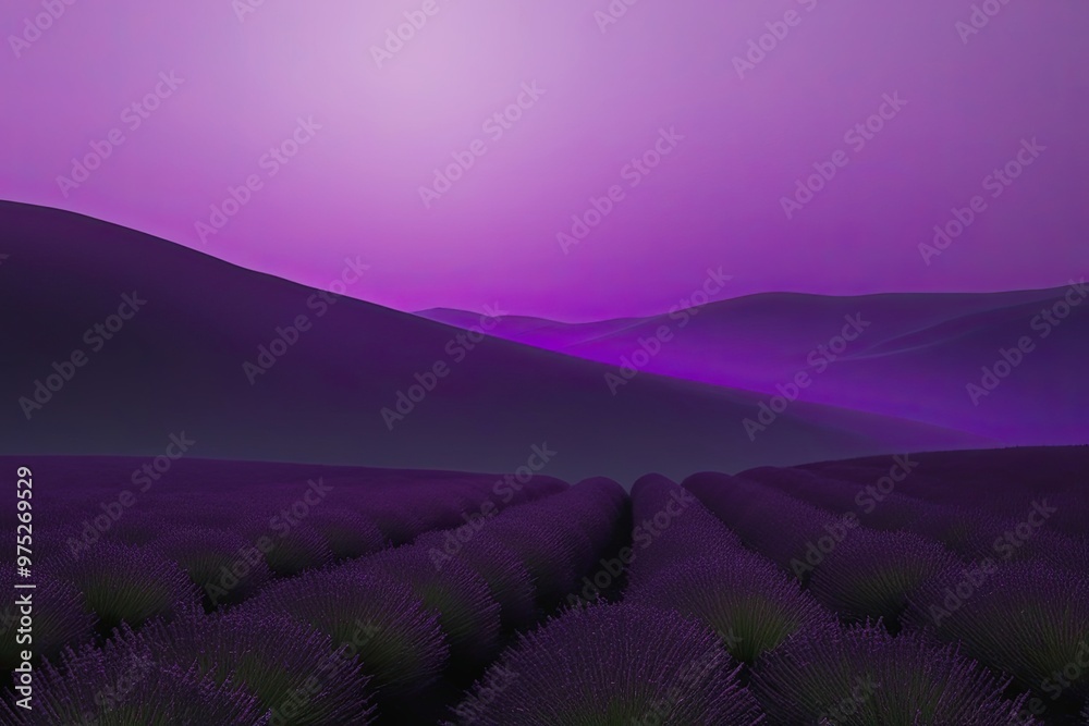 Calming Lavender Gradient Background with Violet Illumination on Dark Charcoal Canvas Calming Lavender Gradient Background with Violet Illumination on Dark Charcoal Canvas