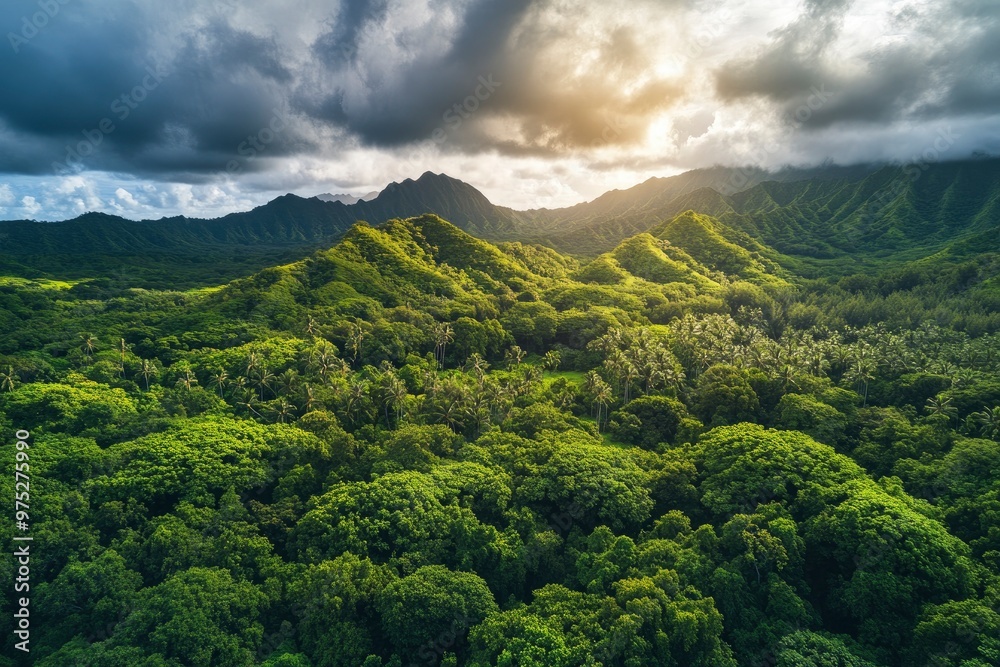 Aerial view of lush green forest and mountains under cloudy sky, Tantalus mountain peak, Hawaii, United States , ai Aerial view of lush green forest and mountains under cloudy sky, Tantalus mountain peak, Hawaii, United States , ai