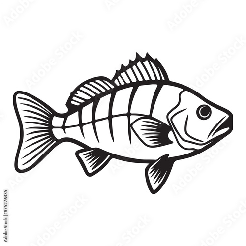 Bass fish silhouette vector art illustration. photo