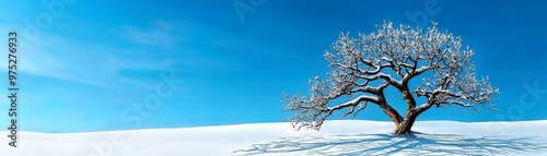 Watercolor of a withered tree in the snow, symbolizing cold loneliness photo