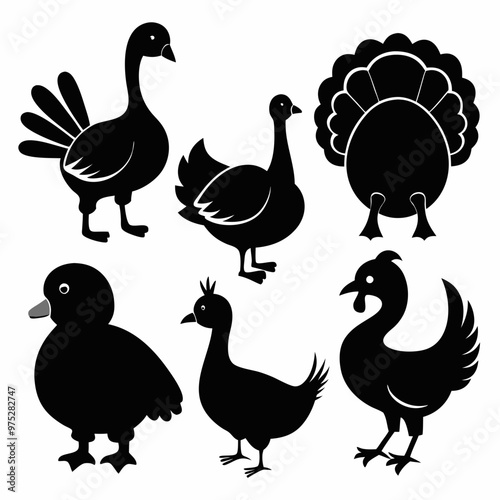 farm animals, turkey, different types of ducks, clean clear vector, set of ducks