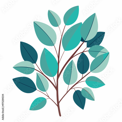 eucalyptus leaves,branches vector, illustration, 