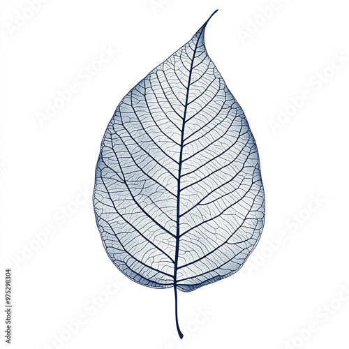 Sailing Leaf Print: Detailed Natural Elements Vector Illustration