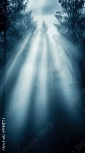 Misty forest scene with sun rays piercing through tall trees, creating a serene and ethereal atmosphere.