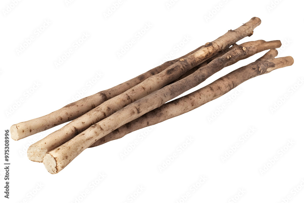 cigars isolated on white background