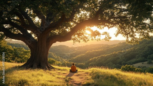 A person meditating under a large tree at sunset in a serene landscape.