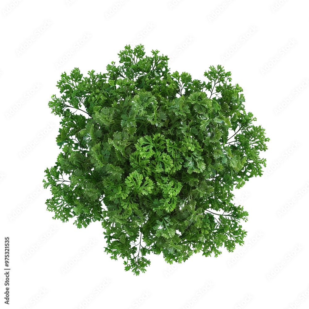 Obraz premium Aerial View of a Lush Green Bush