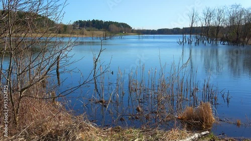 Beautiful spring landscape in Verkhovye  photo