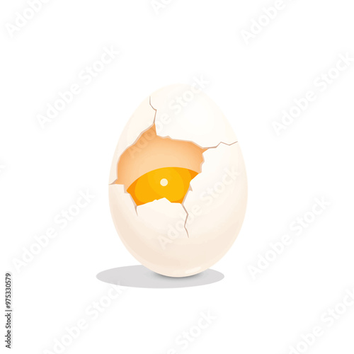 Cracked Egg with Yolk Visible