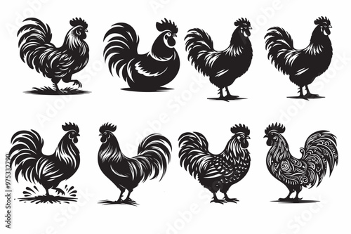 rooster and hen