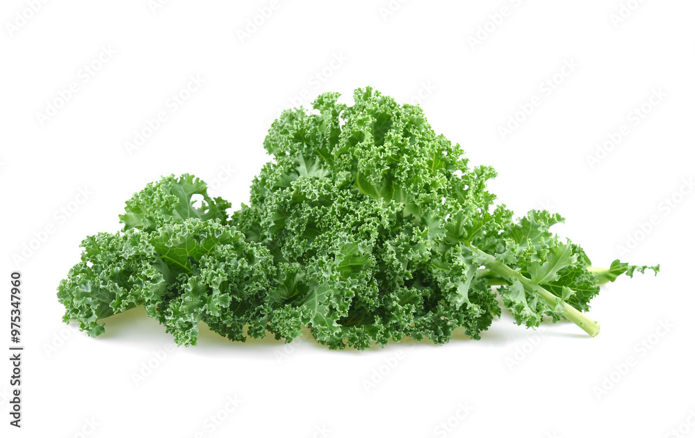 kale leaves isolated on white background kale leaves isolated on white background