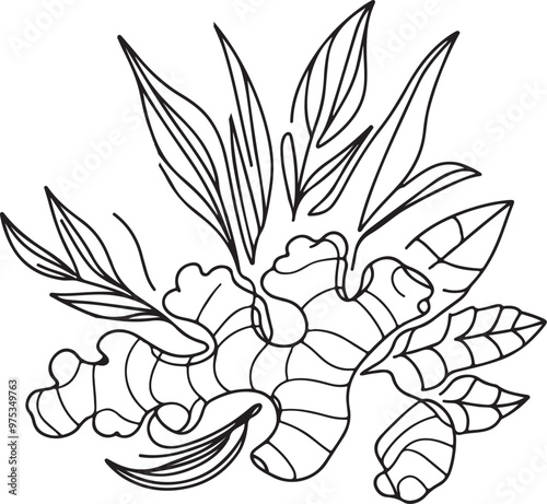 hand drawn ginger vector art	