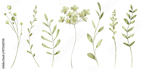 Wallpaper Mural Floral set with leaves, watercolor digital illustration for greeting card, poster, invitation and other printing design. Isolated on white. Hand painting. Torontodigital.ca