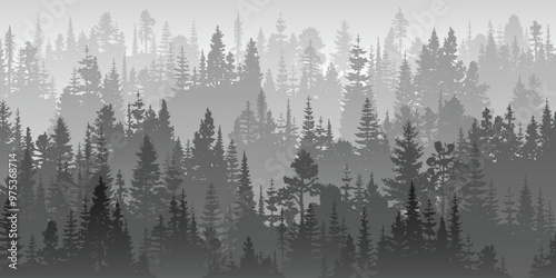 Coniferous forest in the morning haze, black and white landscape, vector illustration