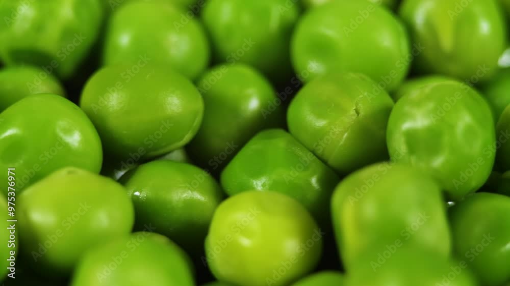 Close Up Green Peas Background Rotating. Macro Shot Fresh Organic Green Peas. Vegetable Harvest Healthy Eating. Beautiful Texture Close-up of Fresh Green Peas. Healthy Vegetarian food. Close Up Green Peas Background Rotating. Macro Shot Fresh Organic Green Peas. Vegetable Harvest Healthy Eating. Beautiful Texture Close-up of Fresh Green Peas. Healthy Vegetarian food.