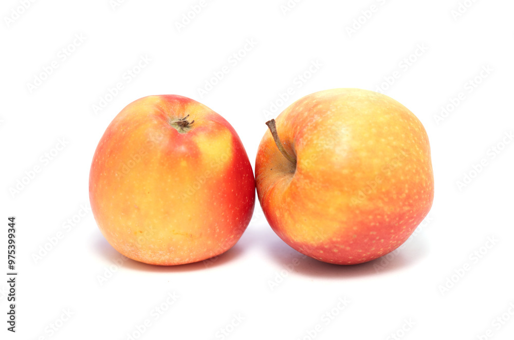 Two apples are sitting next to each other on a white background Two apples are sitting next to each other on a white background
