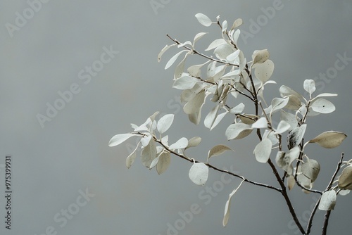 A fragile plant with bleached leaves and minimal growth stands out against a muted backdrop.