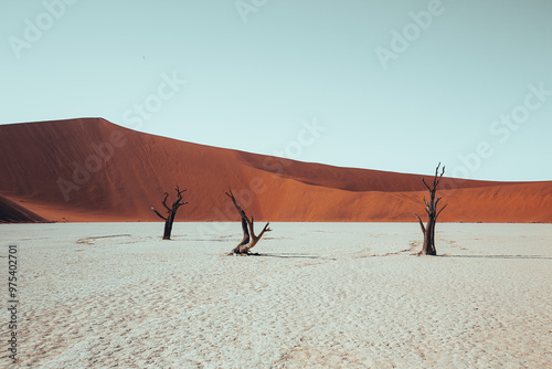 Fototapeta Naklejka Na Ścianę i Meble -  sand dunes in the desert