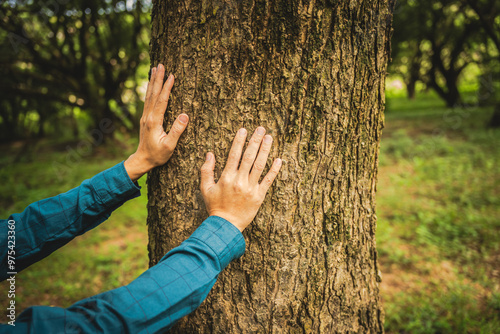 A man's hands gently touch the rough bark of a towering tree, symbolizing a deep connection with nature. In the forest, he embraces the importance of environmental care and protecting the planet.