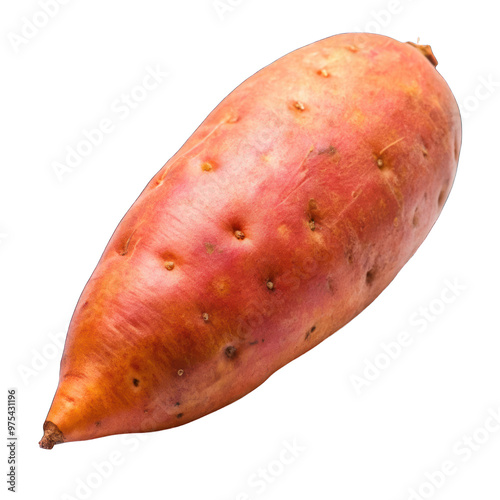 Fresh sweet potato isolated on transparent background