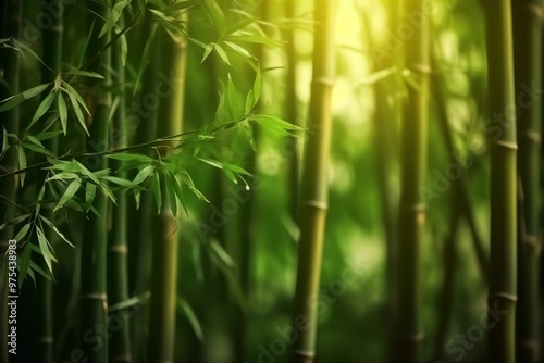 Close-Up of Lush Green Bamboo Forest Background, bamboo background, nature, lush, greenery, bamboo stalks, bamboo leaves,