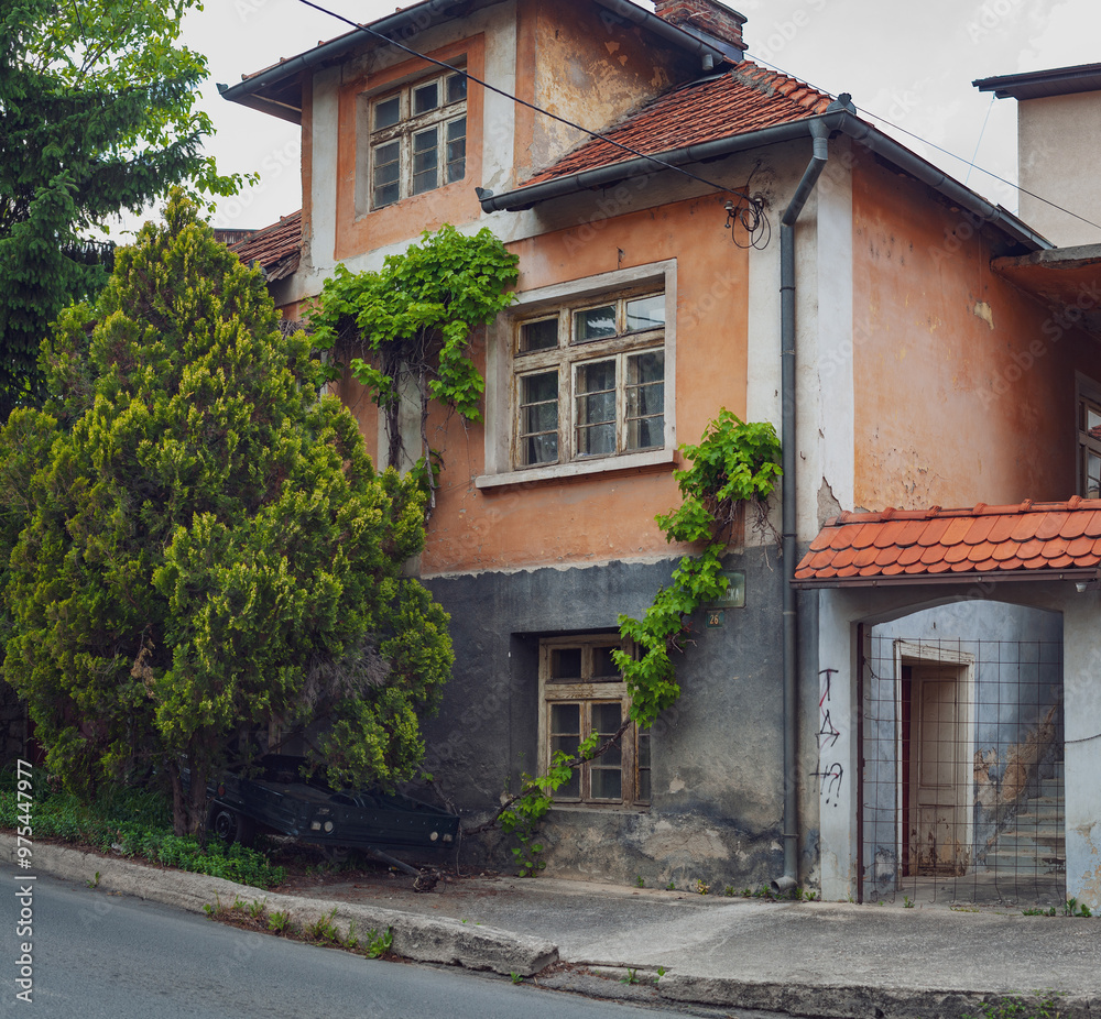 Old house in a town with ivy growing and covering facade
