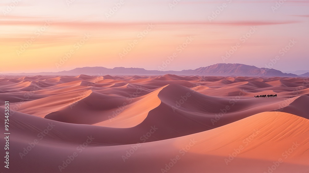 Naklejka premium rolling sand dunes , with a caravan of camels moving across the distant horizon, the sky painted with soft pinks and oranges at sunset