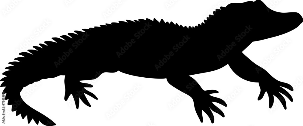 Alligator Animal Wildlife Silhouette Alligator Animal Wildlife Silhouette