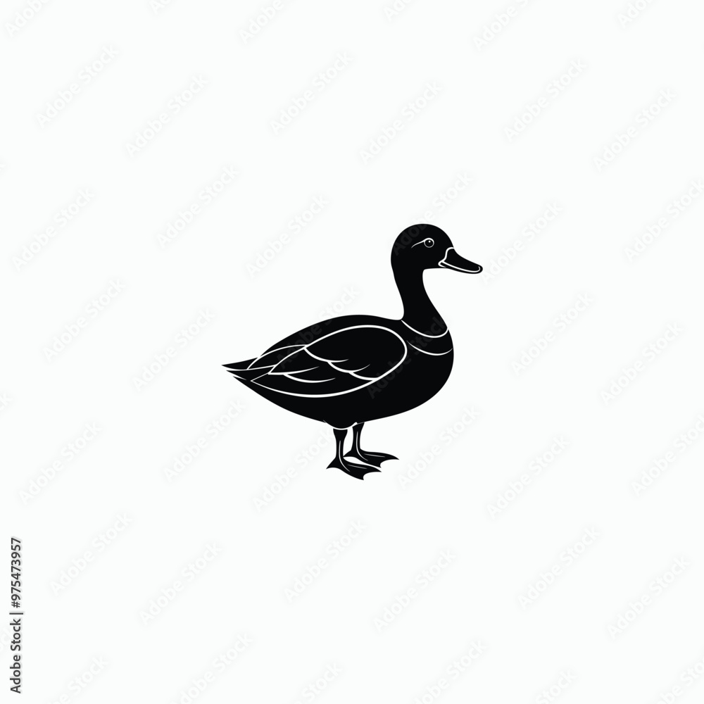 duck isolated on white duck isolated on white
