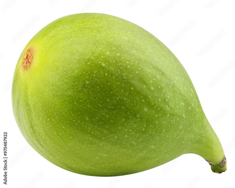 green Fig isolated on white background, full depth of field green Fig isolated on white background, full depth of field