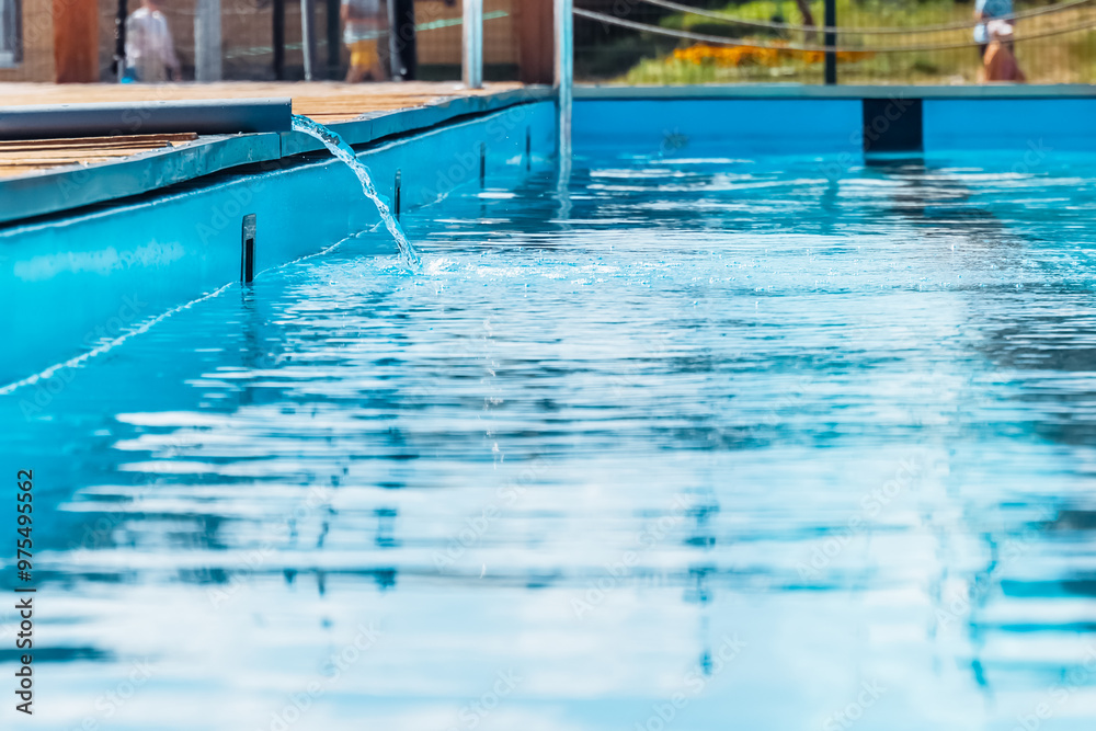 Obraz premium The pool is filled with water from a hose. Clean tap water for the pool.