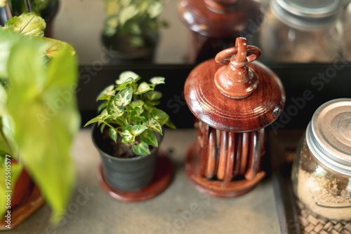 A small indoor plant next to a wooden container and glass jar on a table.