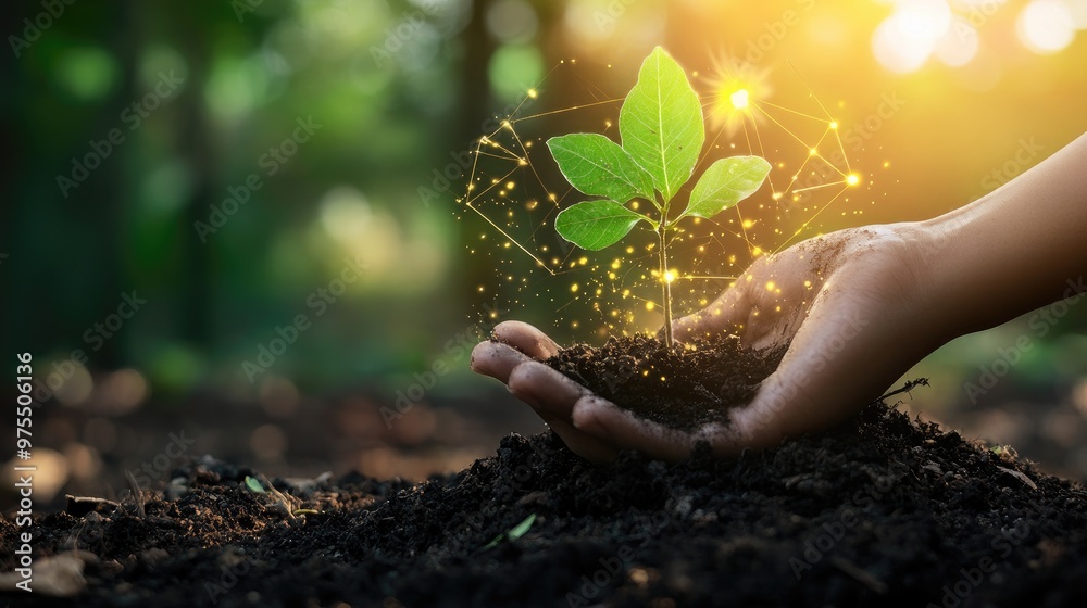 Fototapeta premium The imagery conveys the idea that innovation in the financial sector is the seed for growth, fostering a healthier and more sustainable financial ecosystem, Financial innovations enable 