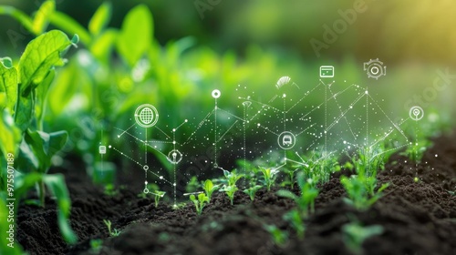 Weeds with agricultural technology icons photo