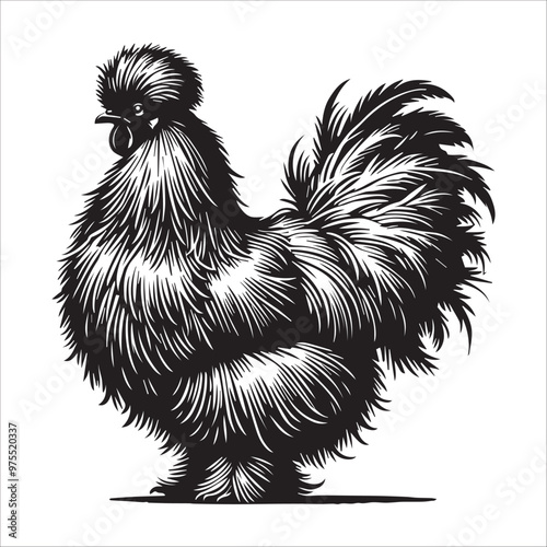 Hen silhouette Clipart - Silkie hen Vector illustration in black and white