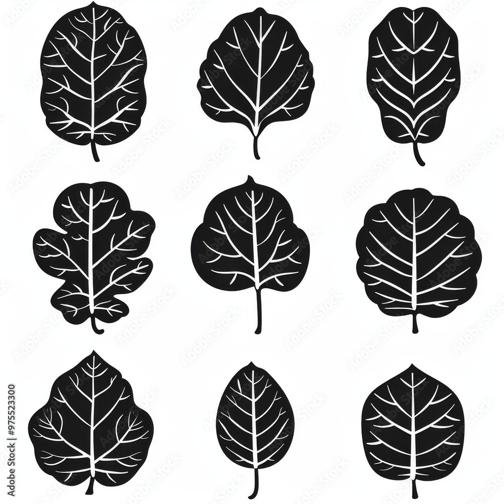 Obraz premium Fiddle Leaf Fig (Ficus Lyrata) Pot Plant Icon Set, Ficus Lyrata Plant Flat Design, Fiddle Leaf Fig Symbol