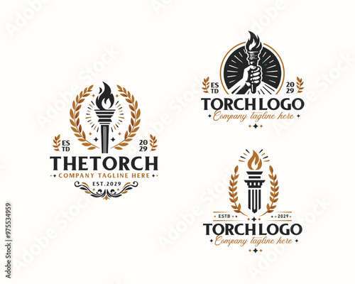 Set bundle Burning Torch fire flame logo design for business company
